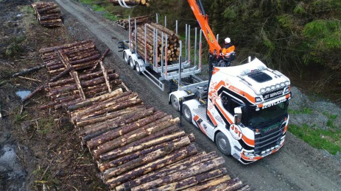 Scottish forestry sector wins £4m funding for new haulage routes ...